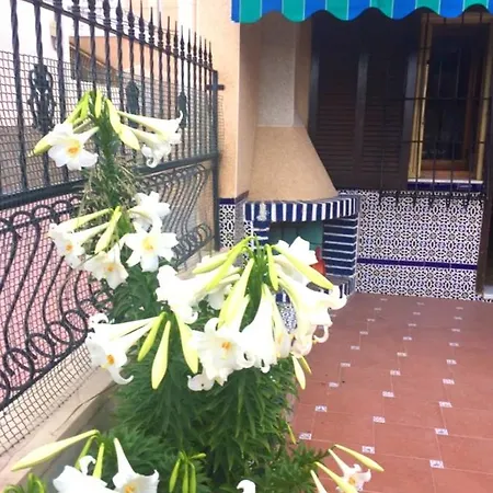 Holiday Calle Maestro Quino Holiday home